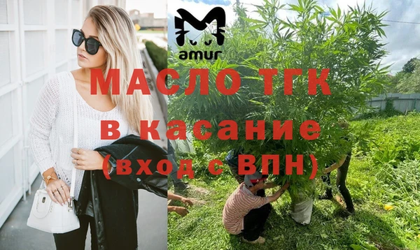 дмт Магас