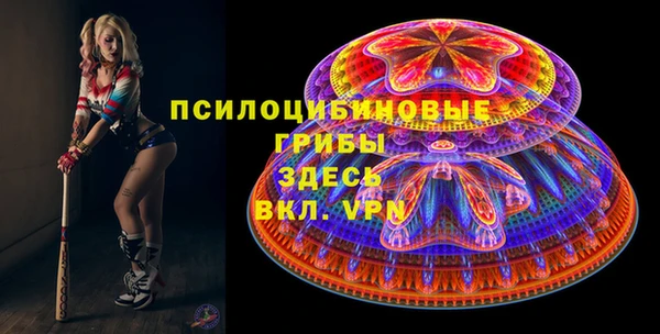 МДМА Бородино