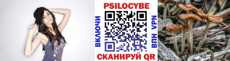 Галлюциногенные грибы Psilocybine cubensis  дарнет шоп  Камышлов 