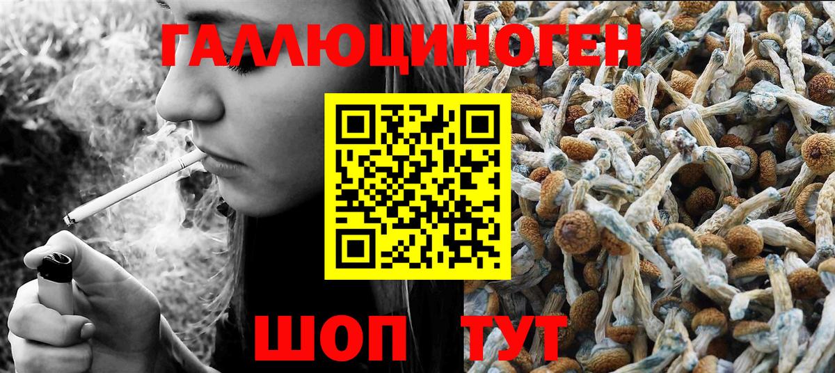Галлюциногенные грибы мицелий  Вход с VPN  Камышлов 