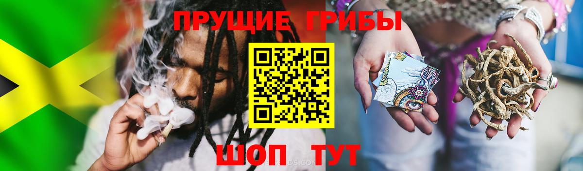 Галлюциногенные грибы прущие грибы  Камышлов 